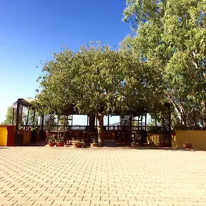 https://agriturismo-e-antica-fattoria-matteu.in-sardinia.net