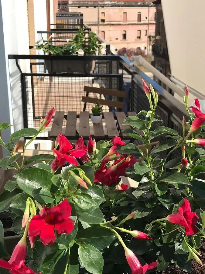 Bealu Bed & Breakfast Syracuse Italy